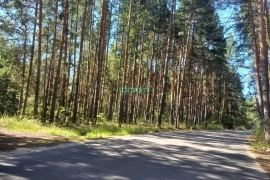 Земельный участок в лесу