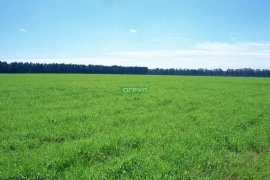 ПРОДАЕТСЯ ЗЕМЕЛЬНЫЙ УЧАСТОК 4 СОТКИ.